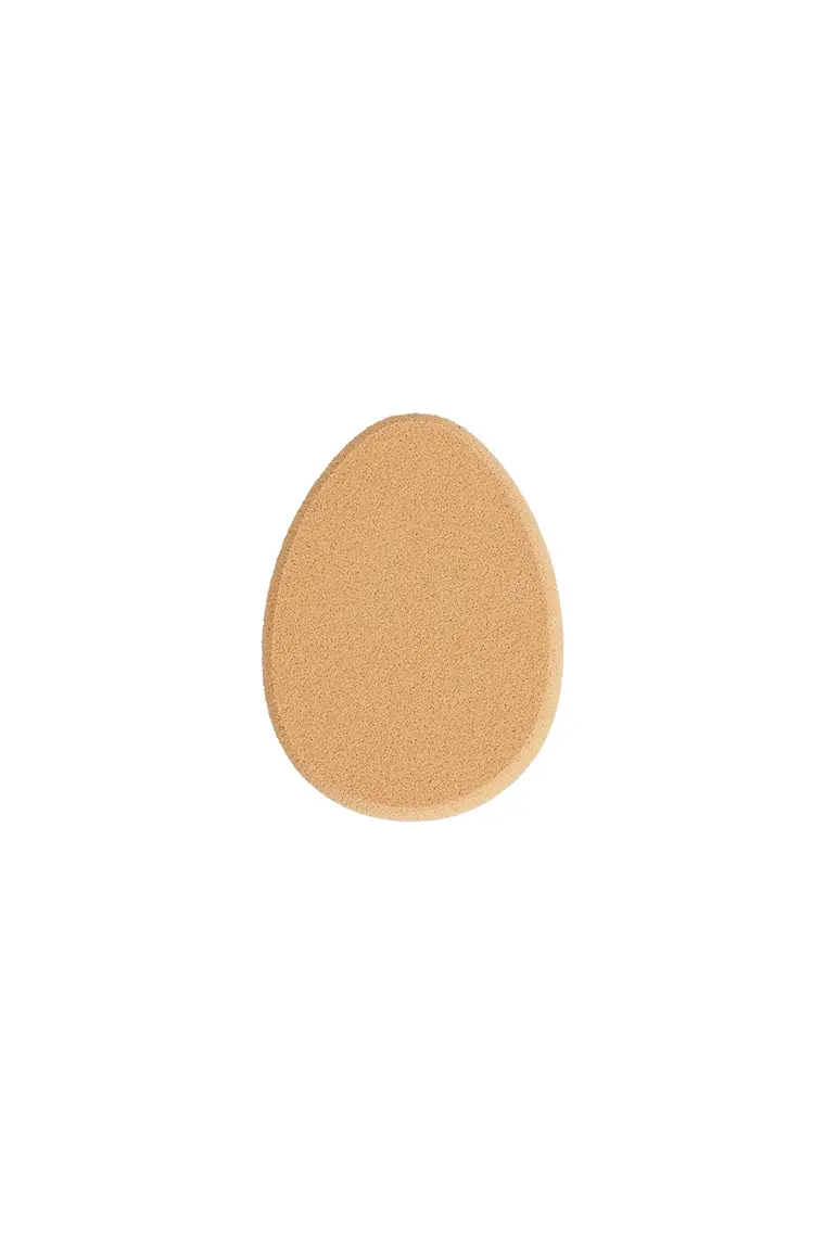 Blending Sponge